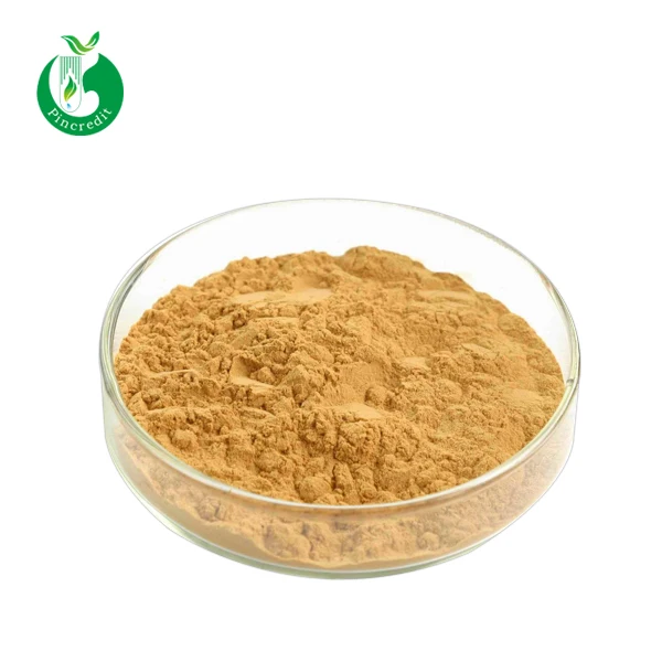 
Hot Sale Natural Ginkgo Biloba Extract Price 