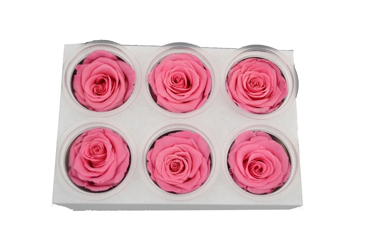 
Factory price best quality Soft Touch Natural Eternal Forever Immortal Preserved Roses 