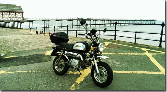 SKYTEAM E5 125cc 4 stroke Skymini monkey motorcycle monkey bike (EEC EUROV EURO5 APPROVED)