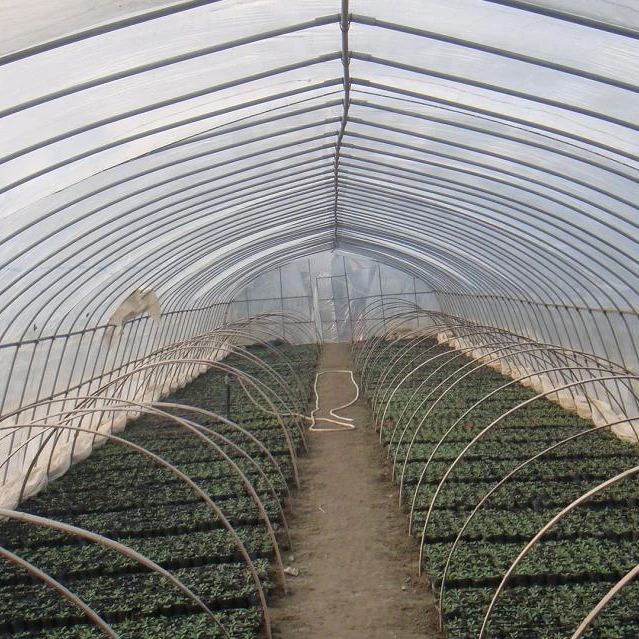 single span tunnel  greenhouse with  plastic film
