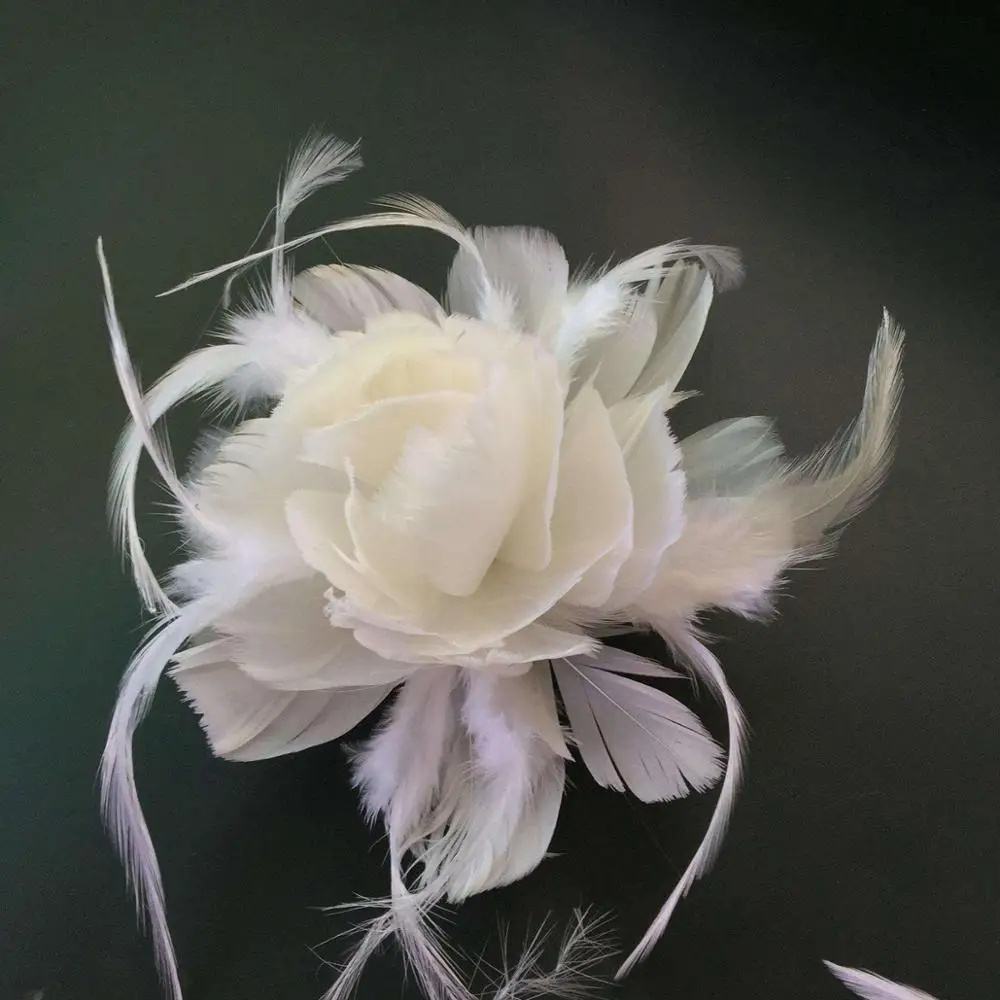 Washed White Goose Feather Sofa Cushion Pillow Filling Material