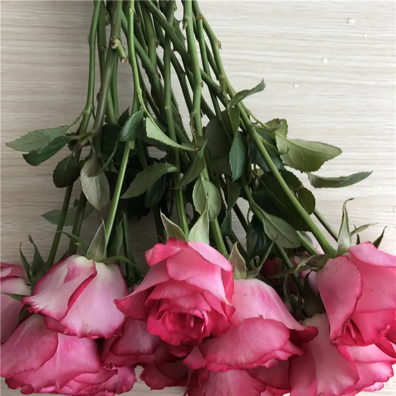 
2019 mail order flowers wholesale fresh flowers wedding red rose cut flowers 