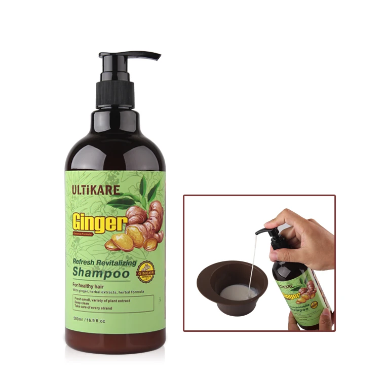 Professional Hair care Product Organic Dry Ginger Refresh Hair Shampoo