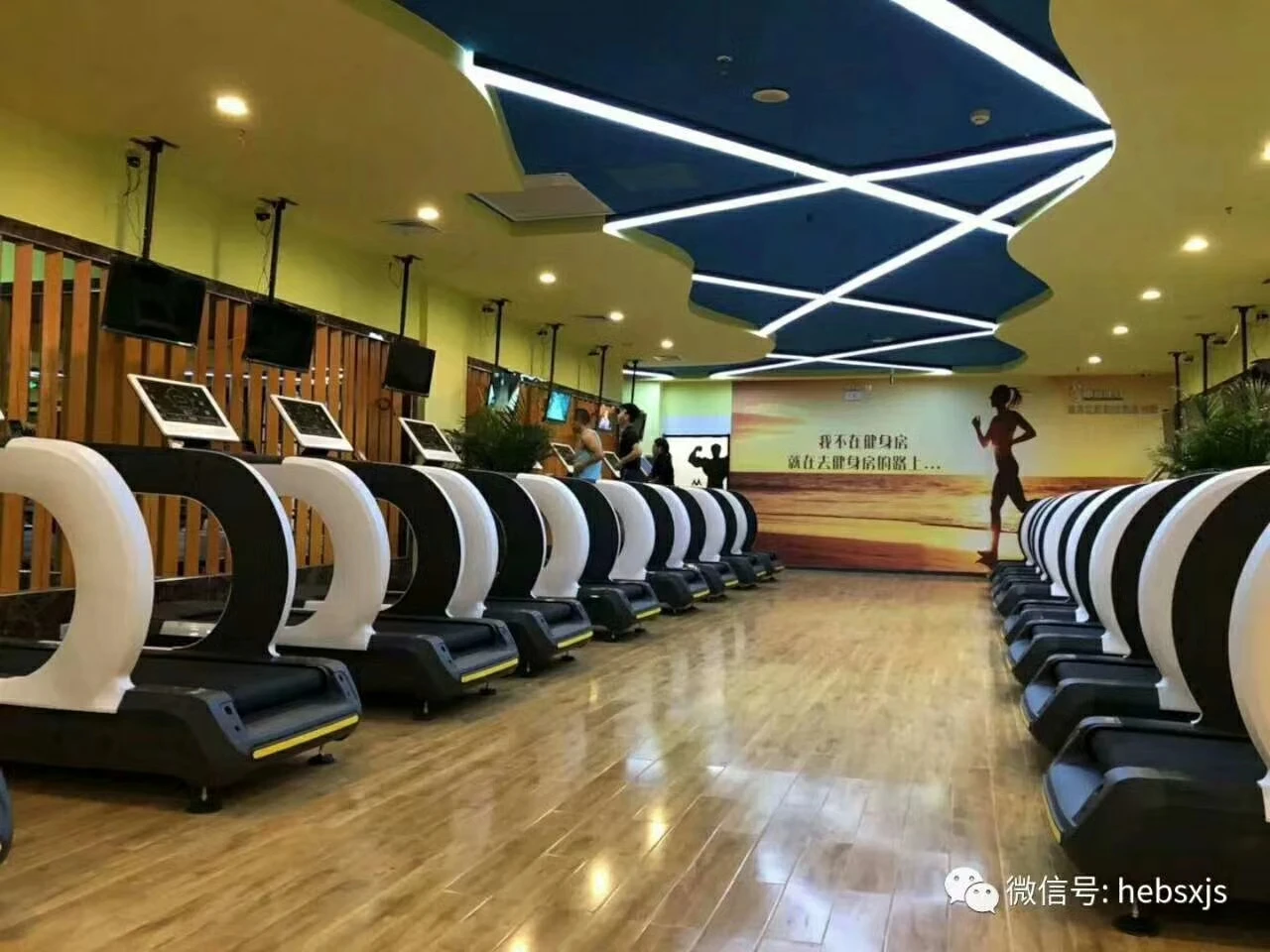 LDT-930 цены по прейскуранту завода-изготовителя, моторизованная беговая дорожка