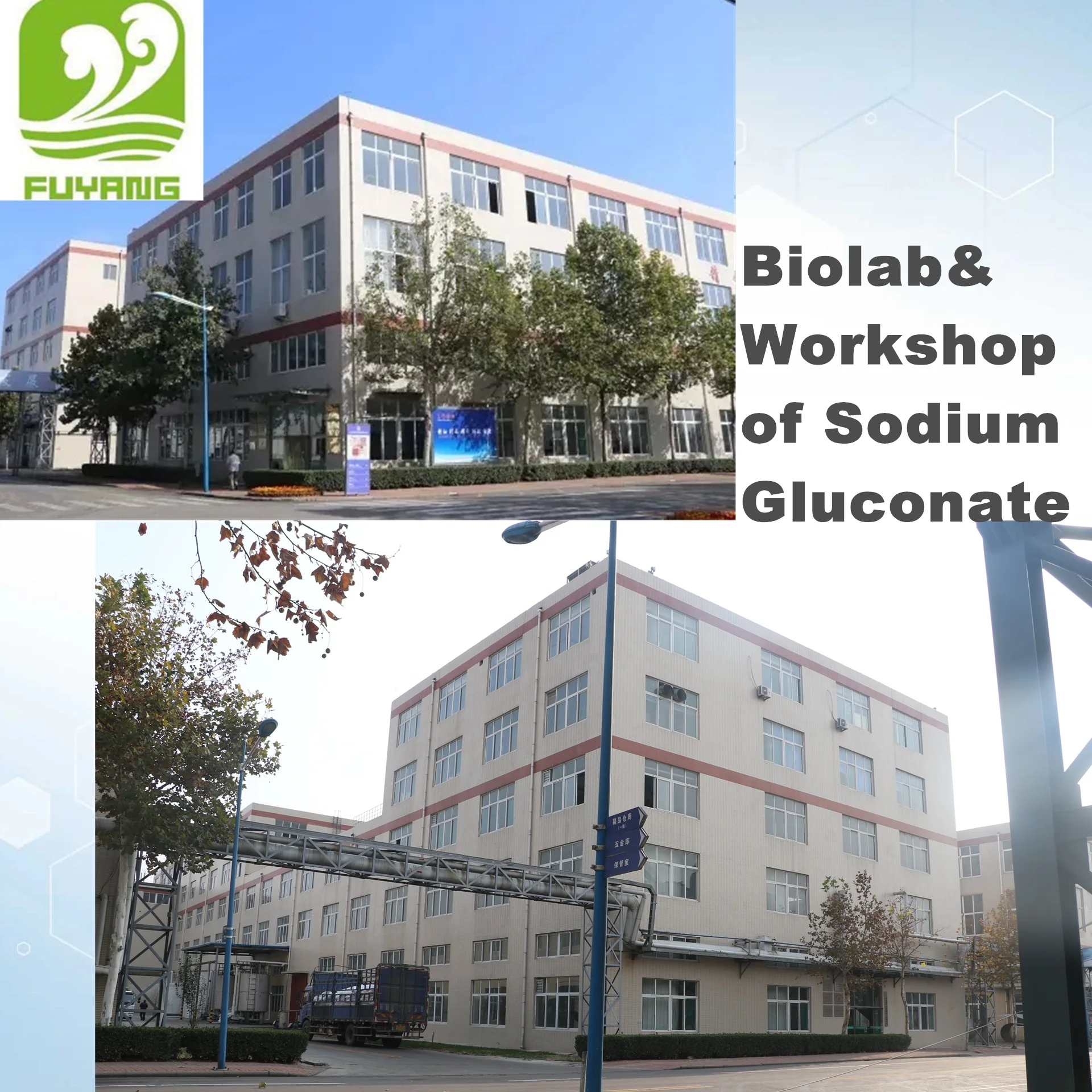 Food Grade Sodium Gluconate