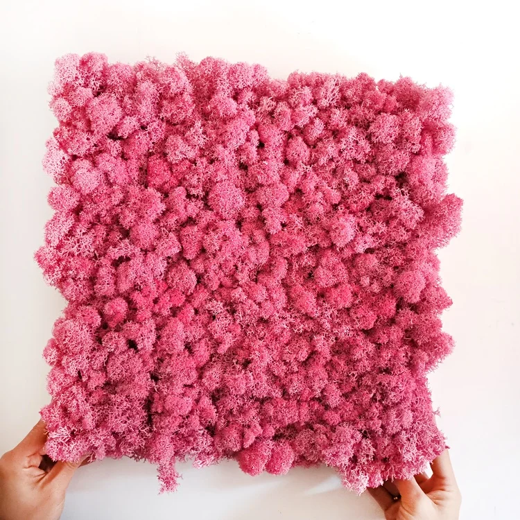 China Suppliers Natural Real Preserved Grass Wall Decoration Irish Moss Wall