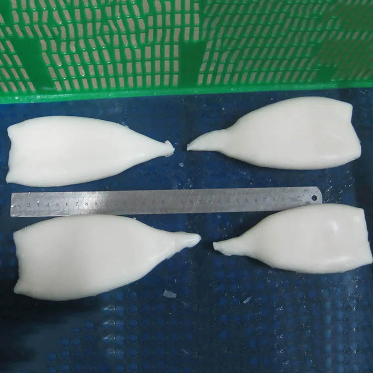wholesale Fresh frozen squid for sale squid supplier squid tube