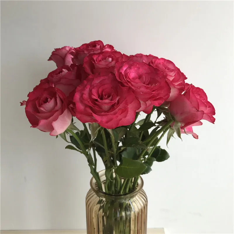 
2019 mail order flowers wholesale fresh flowers wedding red rose cut flowers 