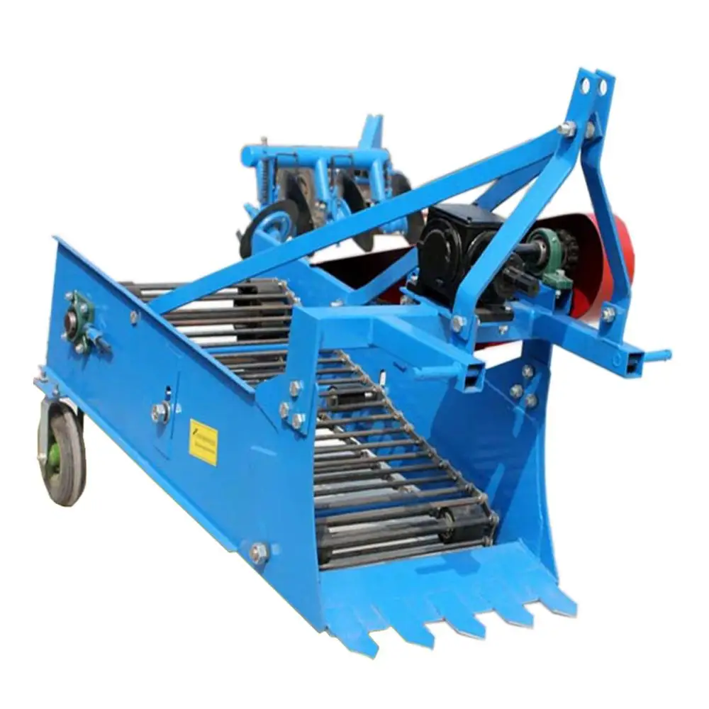 Sweet Potato Harvest /carrot Harvesting