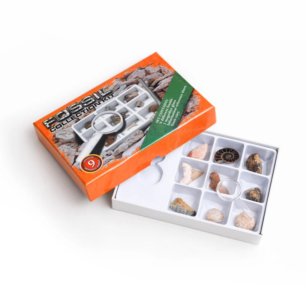 Yase promotional gift box fossil collection kit wholesale fossil collection set kids toys old fossil produce