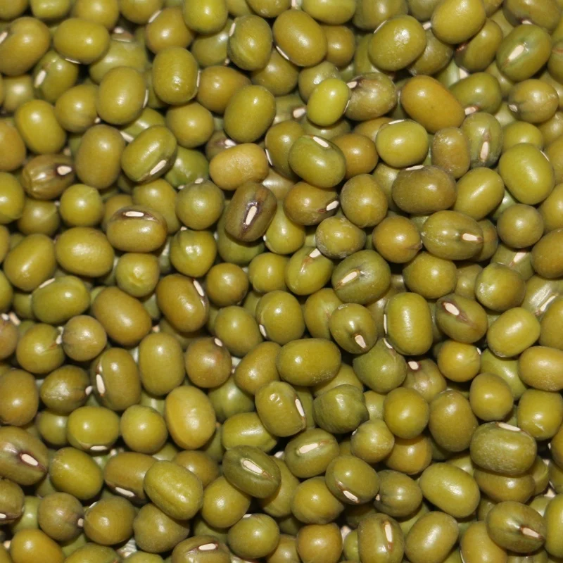 
China New Crop Green Mung Bean For Food Moong Dal 