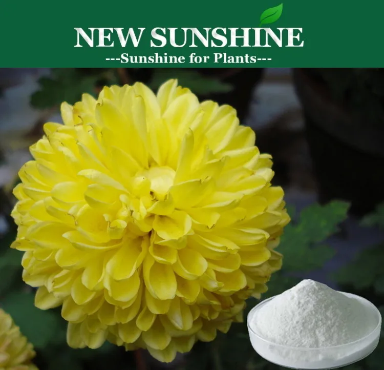 Plant growth regulator B9 / Daminozide 85%