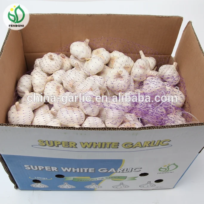 
2019 Garlic Price garlic box 10kg for Morocco 