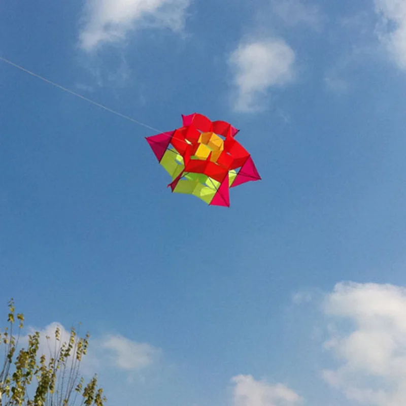 Горячая продажа 3D цветок лотоса кайт для детей