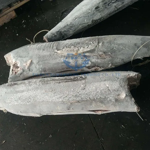 Seafrozen black marlin HGT, super frozen blue marlin, white marlin fish