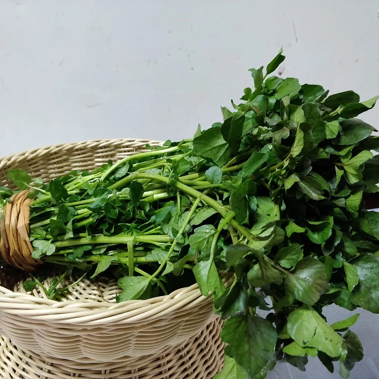 2021 семена свежей воды для сева