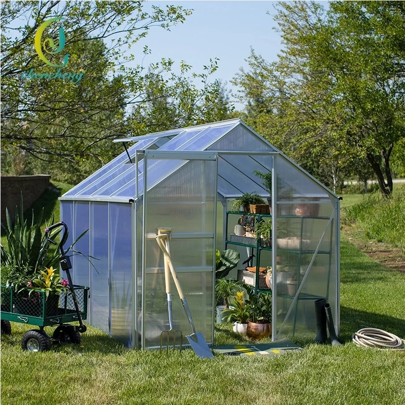 
Chinese style winter sunlight solar greenhouse for sale 