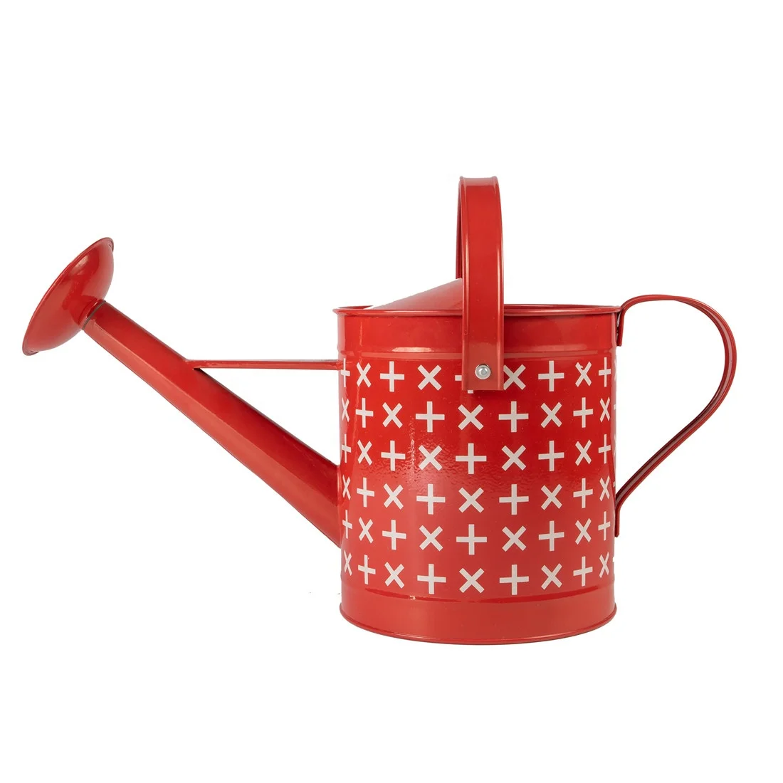 Сад украшенный оцинкованная сталь в винтажном стиле порошок coatedn цветочный горшок дешевый растения металлического Лейка