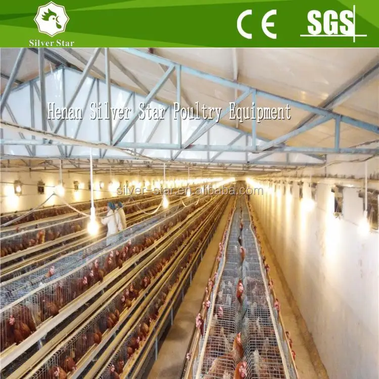 Wire mesh for chicken coop/China poultry coop