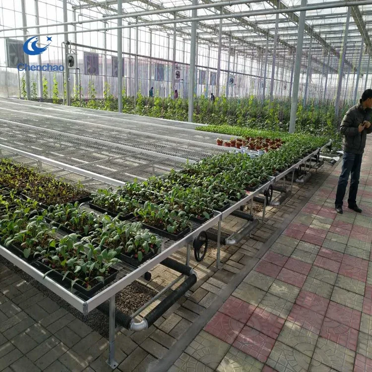 agricultural greenhouse equipment welded mesh movable seedbed table