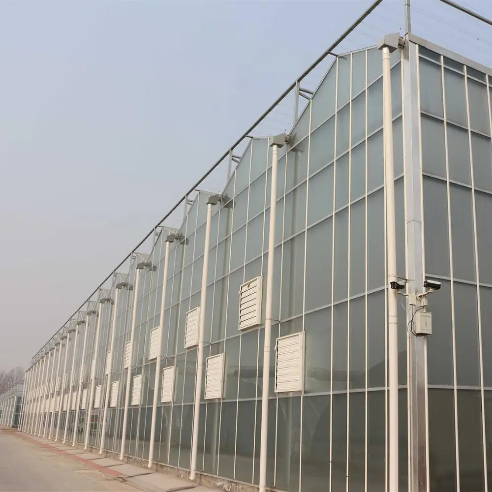 Top Quality Polychannel Glass Greenhouse for Hydroponic Products/Seed Breeding Cultivation