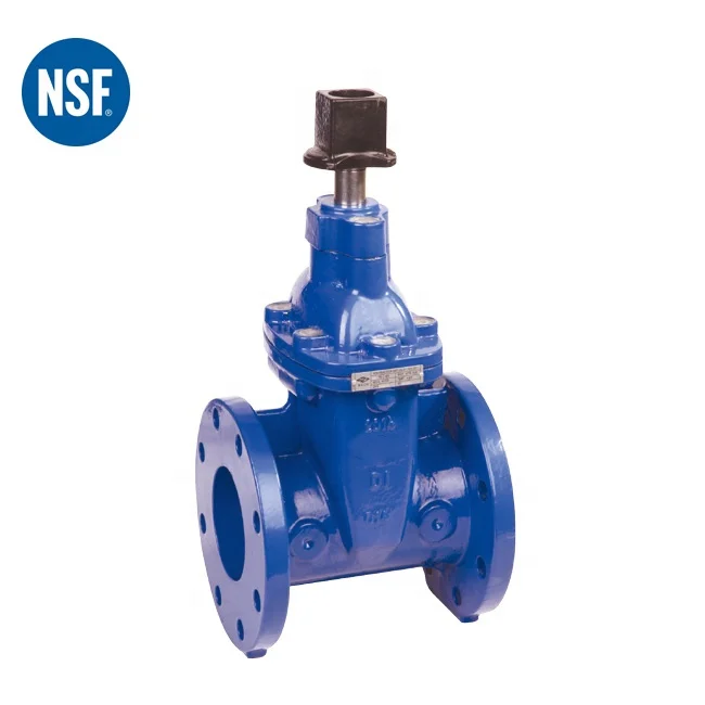 cast iron  ANSI150lbs flange end NSF approved  swing check valve for drinking water