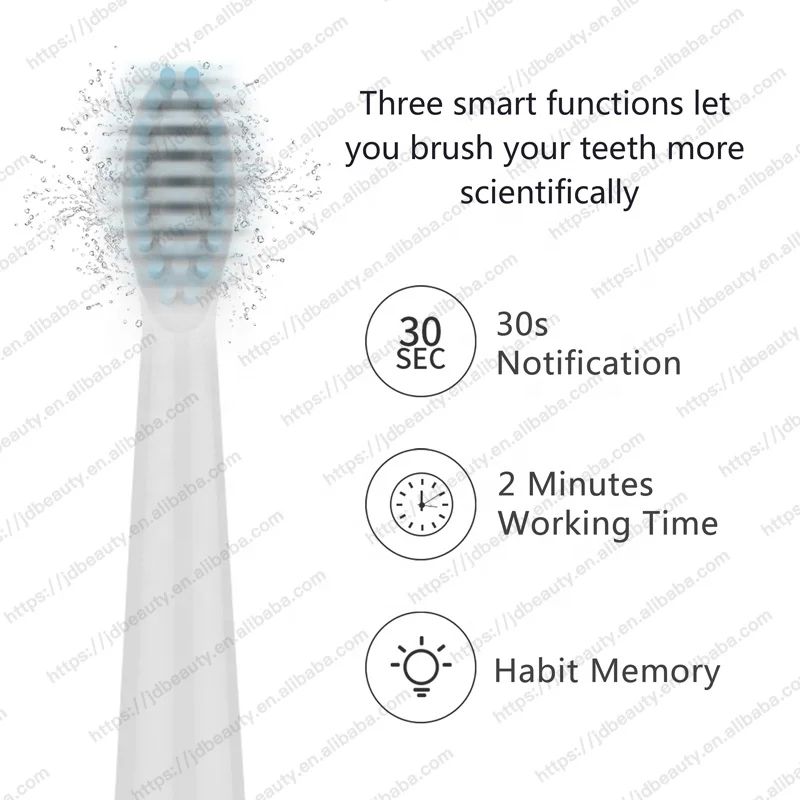 Wholesale PT1Adult Slim Waterproof Automatic Sonic Electric Vibration Cheap Battery Toothbrush China OEM