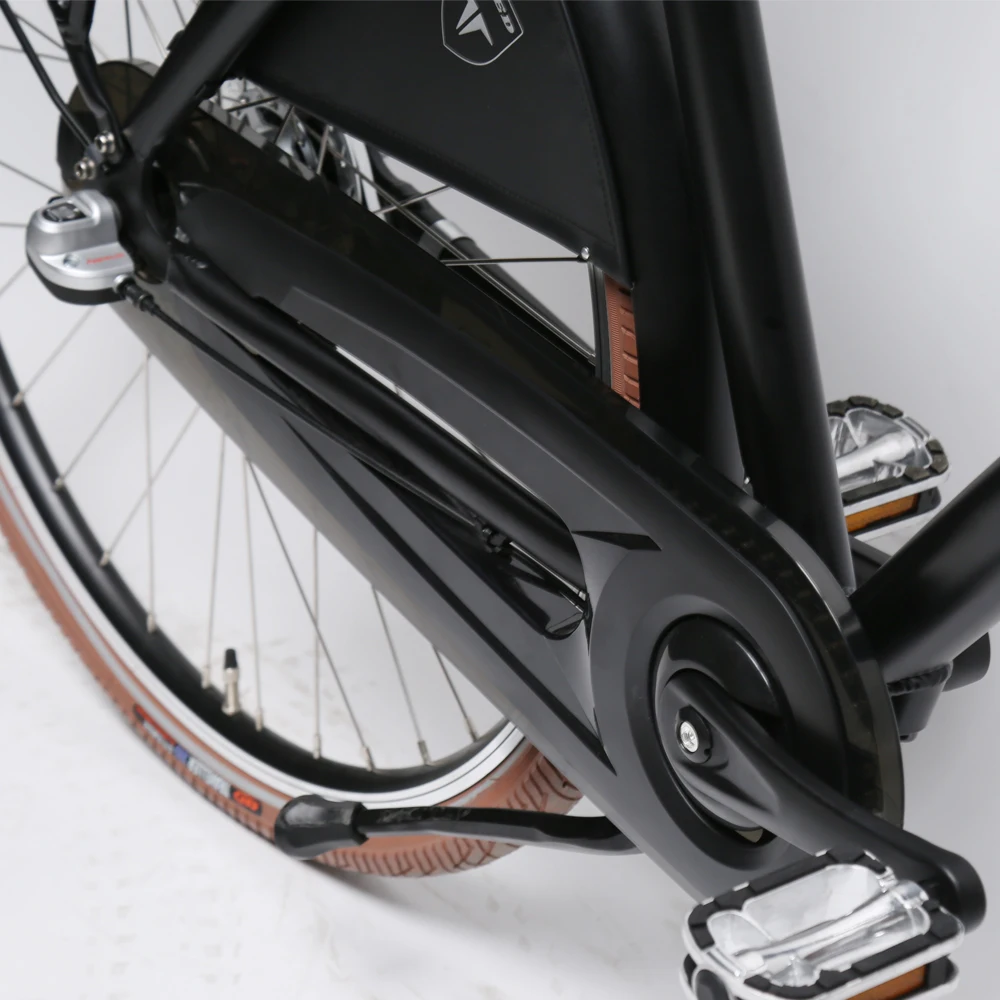 TXED Retro 250W cargo bike 2 wheel city e bicycle for women