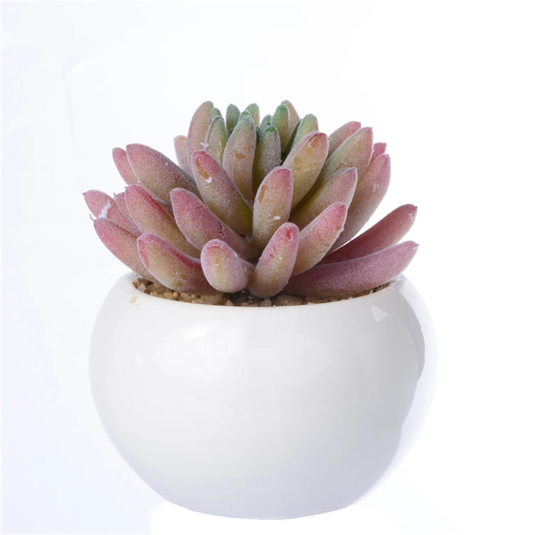 Desk decoration Artificial Succulents Plants potted  fingers shape plant for home decoration