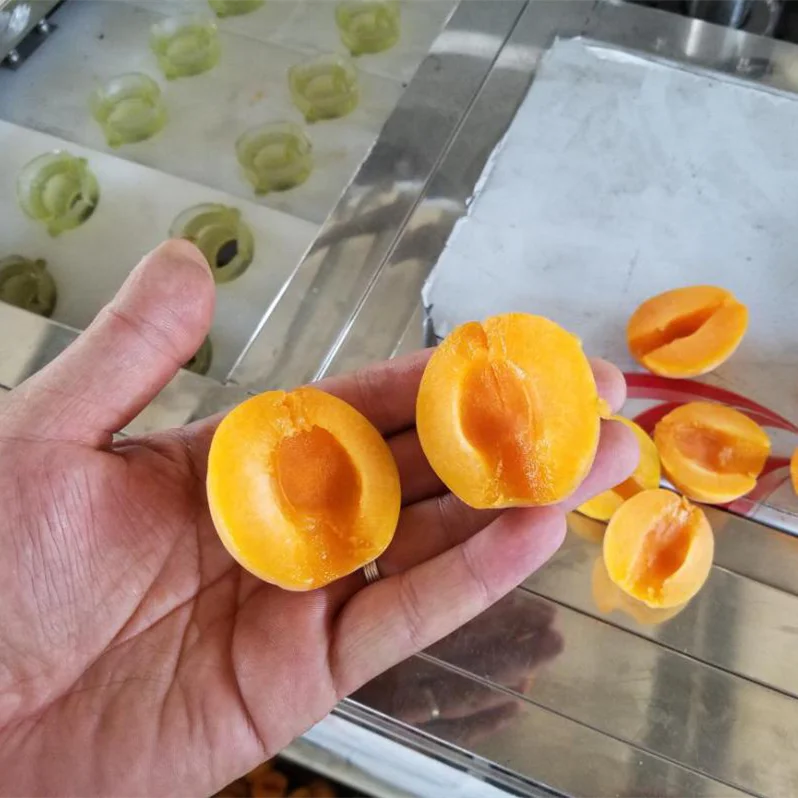 Hot sale apricot pitting machine / coring equipment/pitter