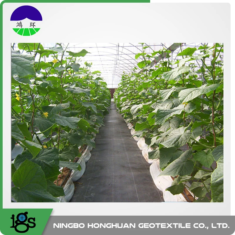 Чжэцзян Honghuan SWG длинные волокна Geotextile