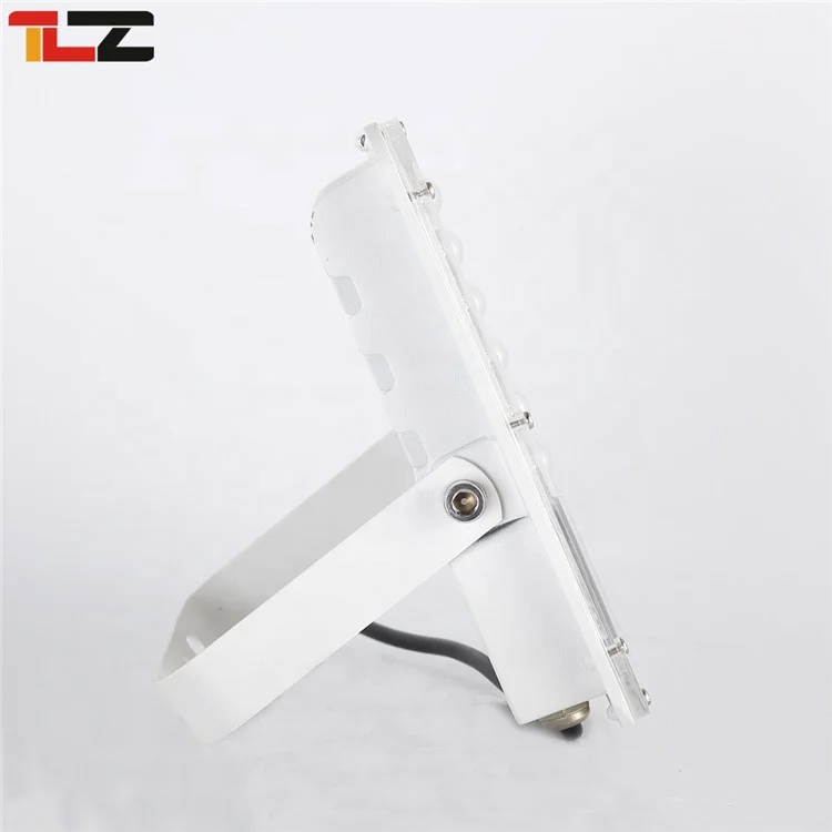 Commercial Lighting Waterproof Outdoor Aluminum housing Hoisting IP68 30w 50w 100w 150w 200w LED Flood Light