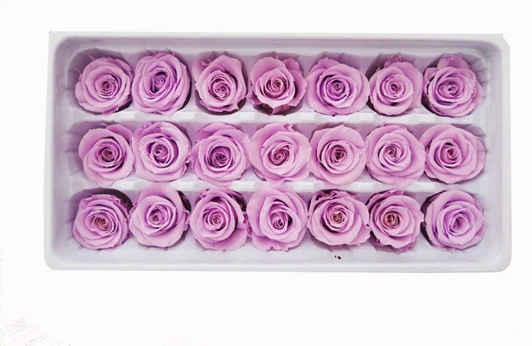 Flora 2-3 cm Champagne Color Preserved Natural Mini Roses Flowers In Box preserved roses