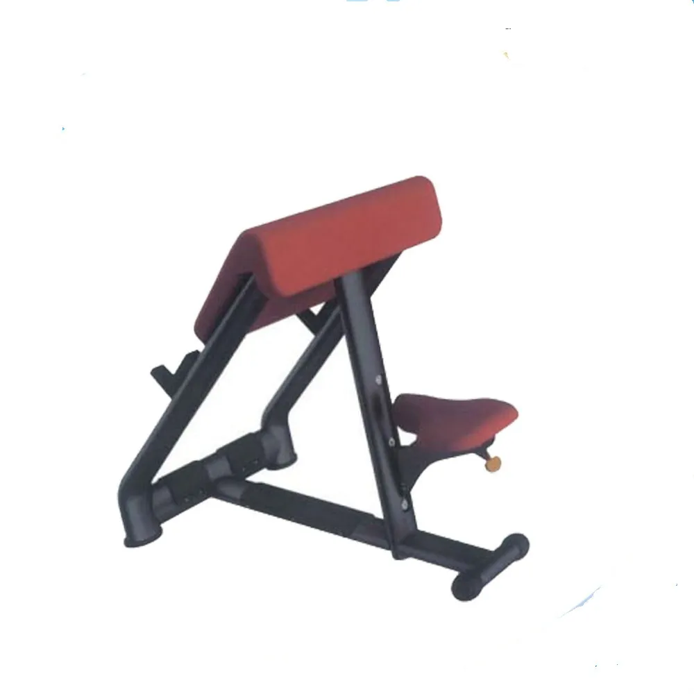 biceps benches Sports Equipment/Gym Commercial Machines for Body Building