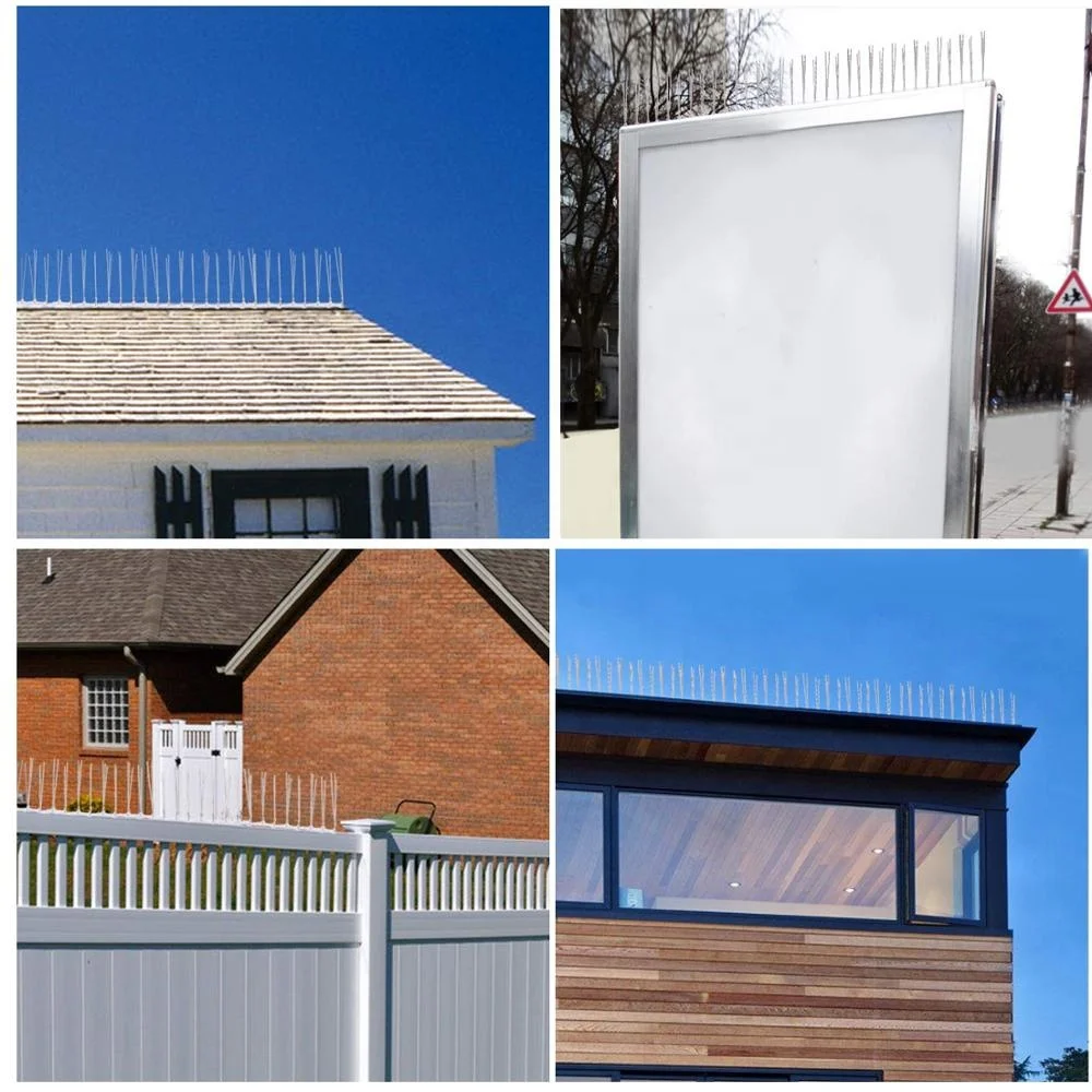 High-quality UV Treatment Stainless Steel Pigeons Cat Control Anti Bird Spikes