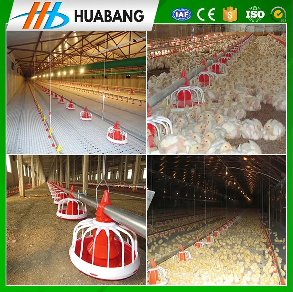 
huabang series automatic chicken poultry farm equipment for broiler chicken house 