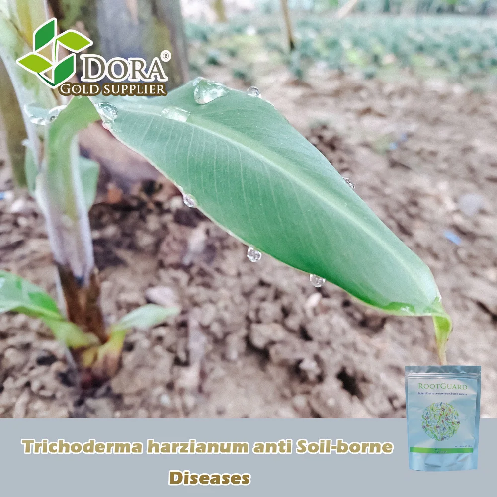 Advanced Trichoderma Products Using Natural Own Gift for Every Challenges