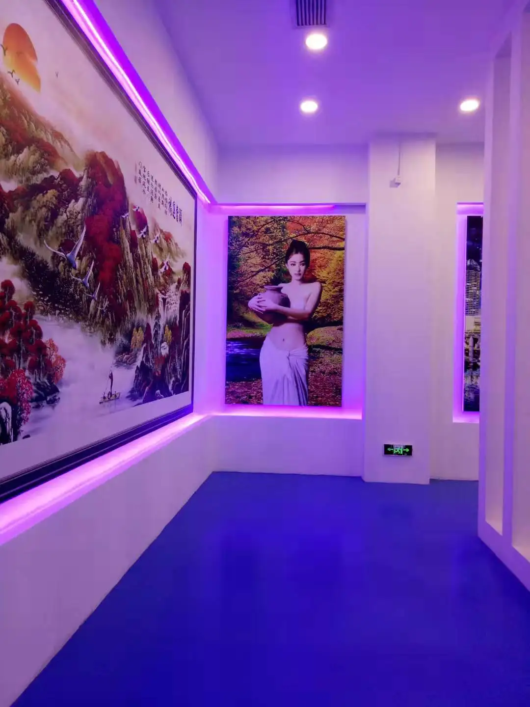 3D Logo Advertisement Mural Printing 3D Vertical Inkjet Wall Decal Printer