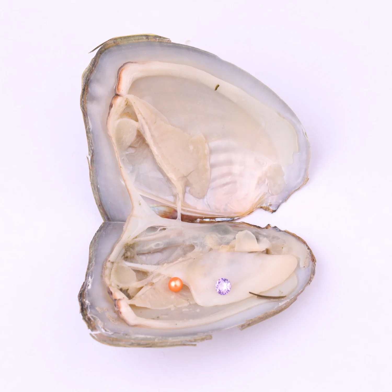 AAA+ grade 3-4mm Mini Natural pearl with 4mm gemstones in Freshwater Oyster Shells