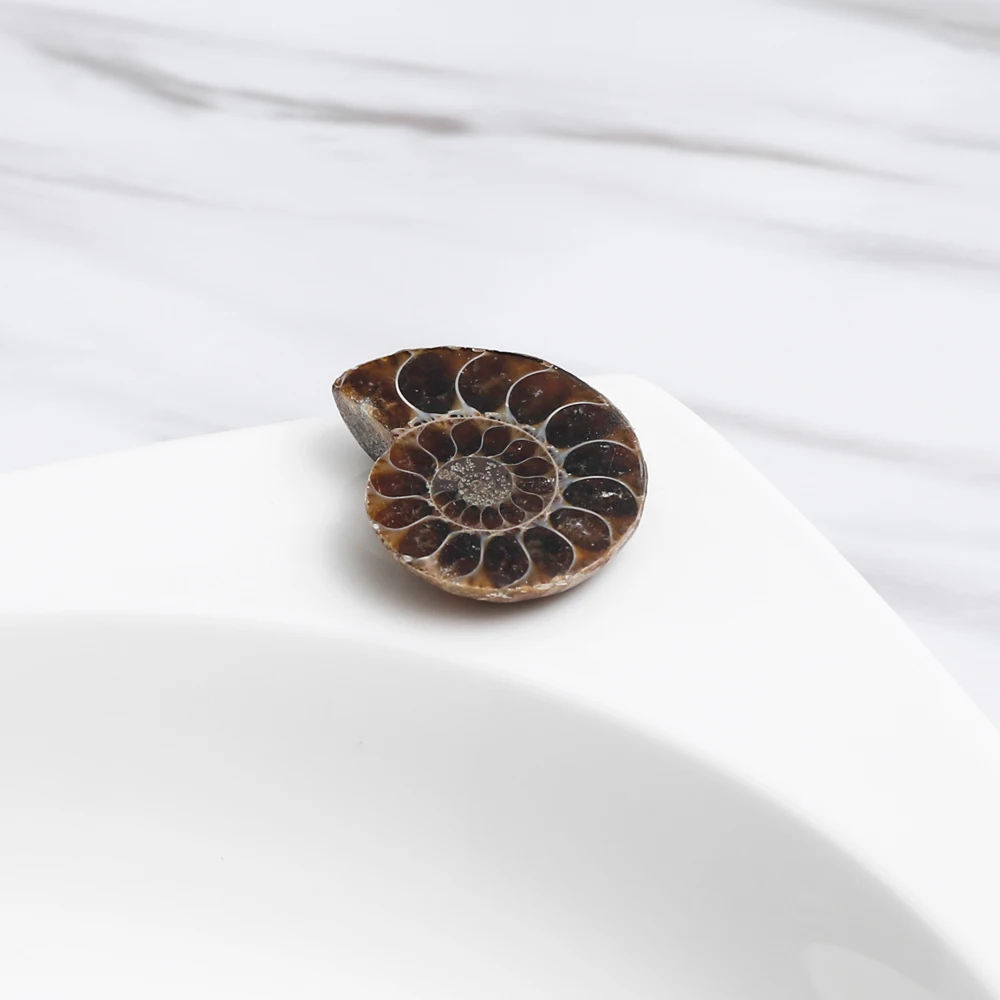 Yase promotional gift box fossil collection kit wholesale fossil collection set kids toys old fossil produce