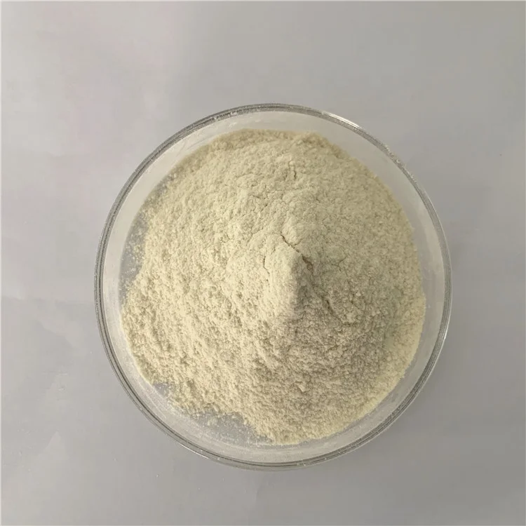 Factory supplier probiotics & prebiotics bulk lactobacillus plantarum probiotics powder