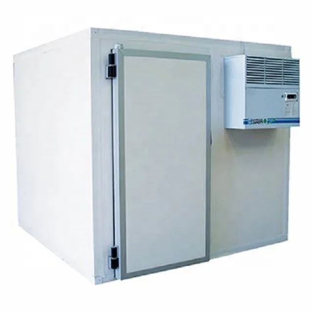 Customized Freezer Cold Storage Room Equipped with Compressor Condensing Unit for Frozen Food and Fruits Storage