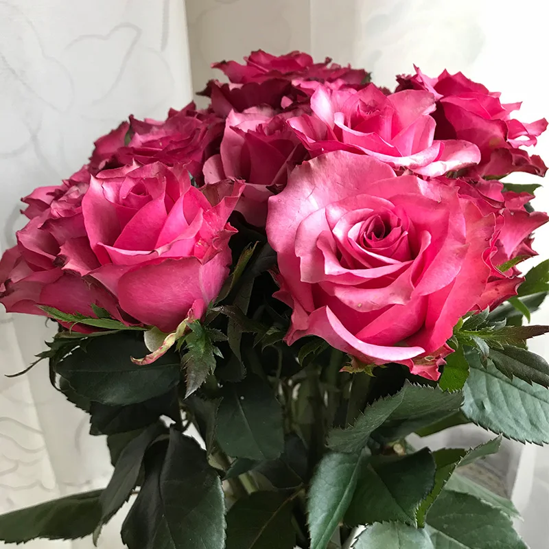 
Fresh flower suppliers flower arrangements cheap flowers red rose 