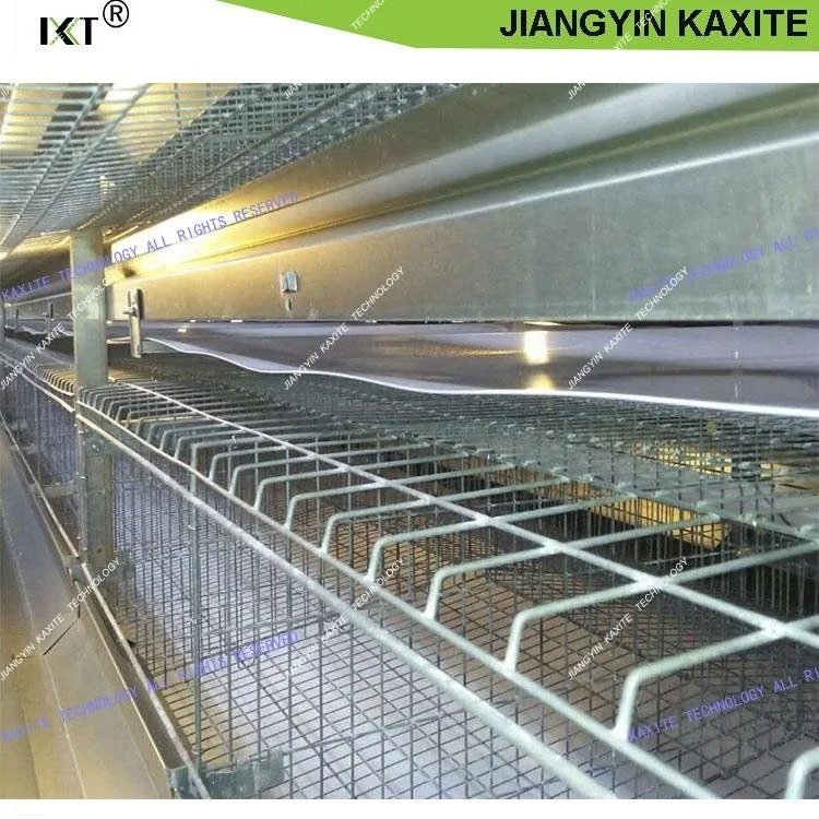 PP Manure Conveyor Belt Poultry Cage System Automatic Cage System