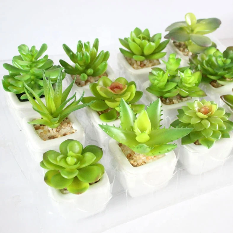 DIY Mini Succulent plant white custom artificial succulent pot