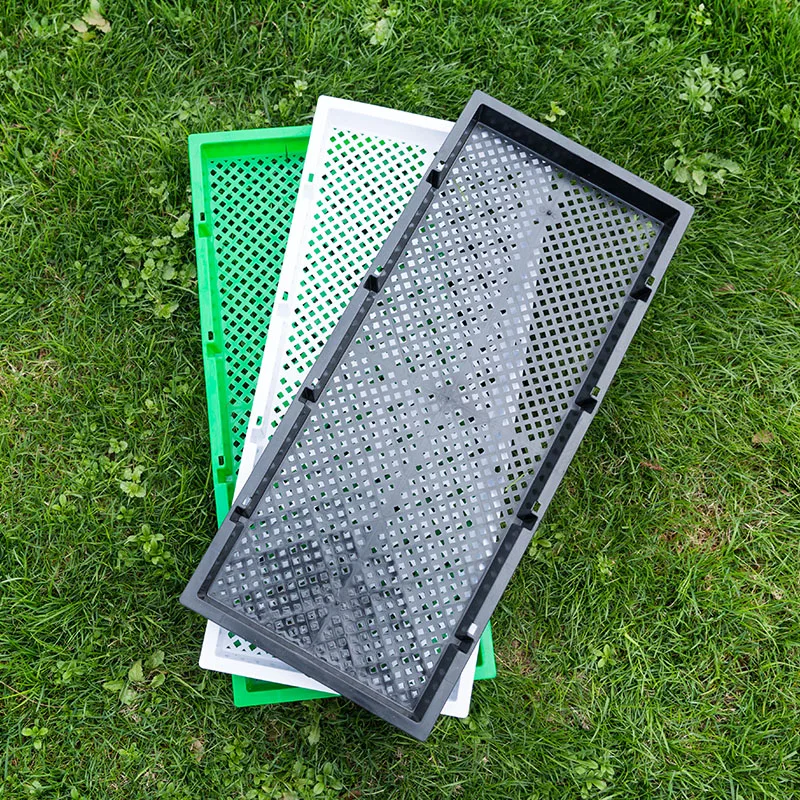 Black PP seedling growth tray layer sprouts plastic seedling tray