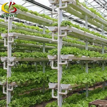 Tomatoes /lettuce/strawberry hydroponic vertical farming planting system for morden agriculture greenhouse with PVC tube