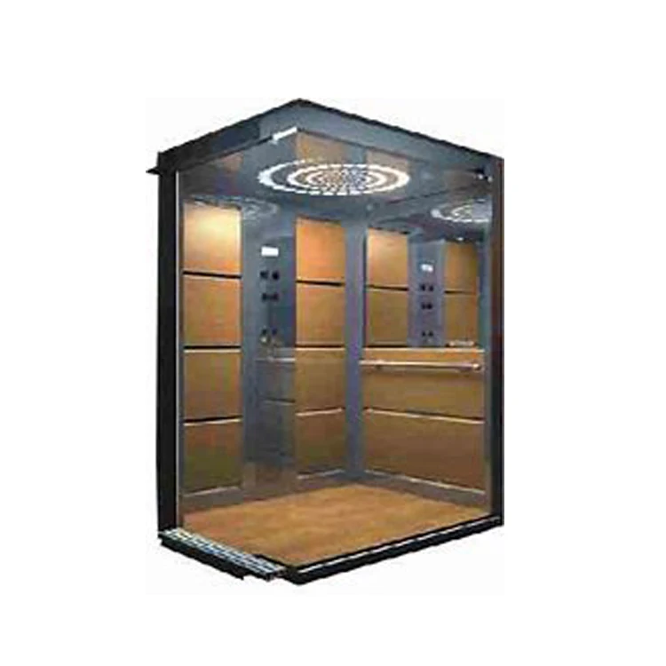 6 человек оформлен гидравлический мини Villa подъемная домашний Лифт 1350 кг