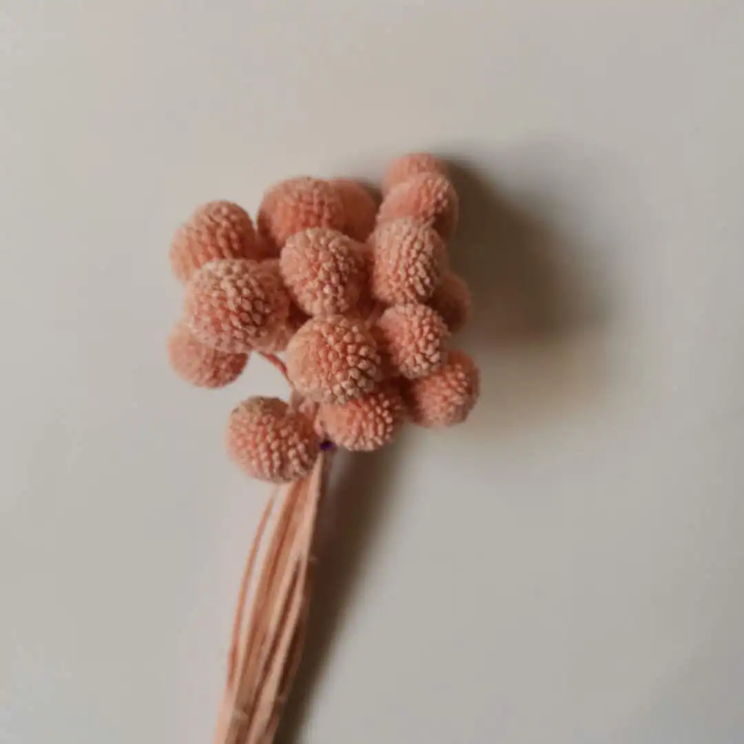 
Christmas Wreaths Decorations Preserved Flower Material for Flower Arrangement 