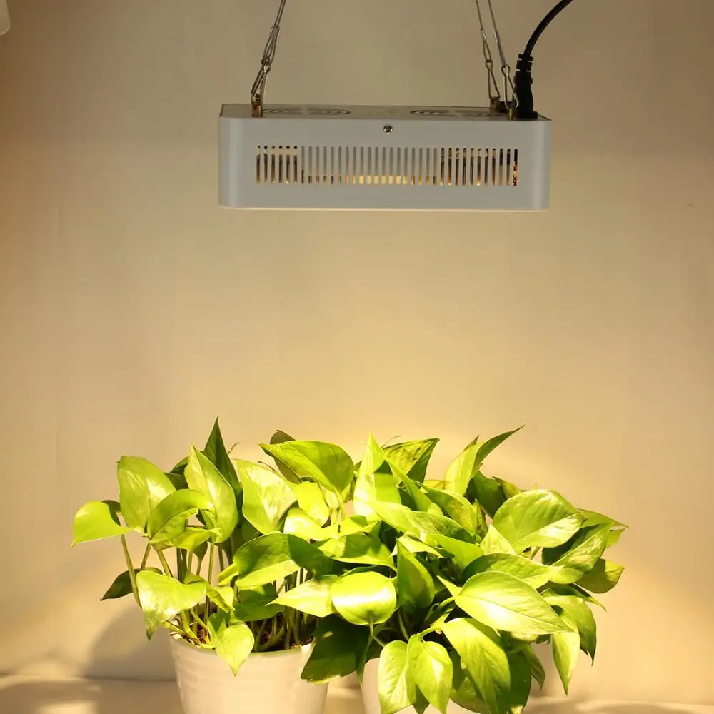 High Quality CREE CXB3590 COB LED Grow Light for Indoor Plants Grow Tent